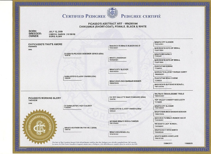 Hanoï d'Acca Larentia