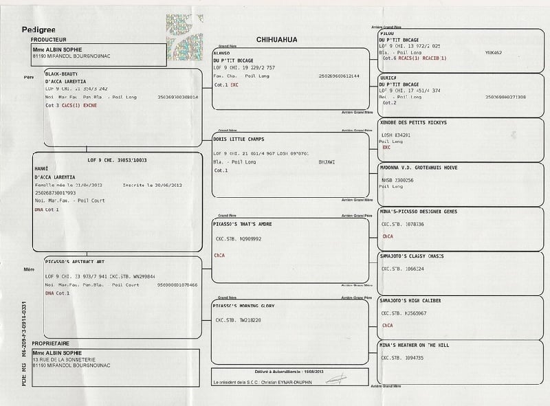 Hanoï d'Acca Larentia