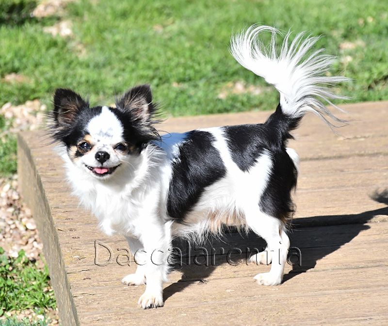 playful rich Only you - 1er excellent CACS, Meilleur de sexe opposé