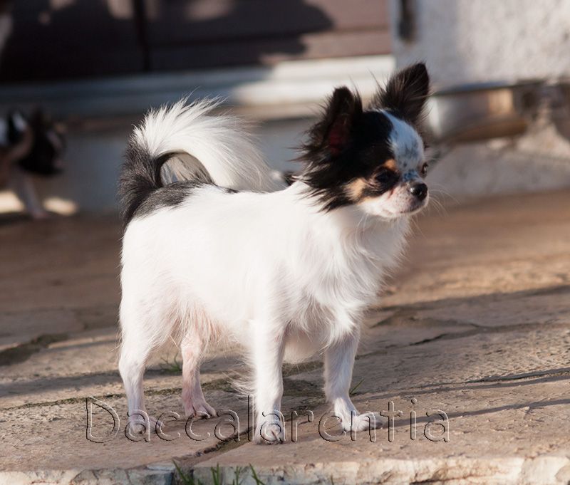 playful rich Only you - 2eme excellent, classe ouverte/4