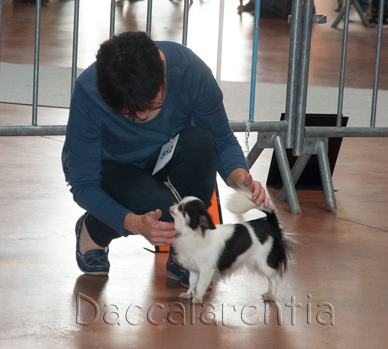 playful rich Only you - 1er excellent, CACS, meilleur de sexe opposé