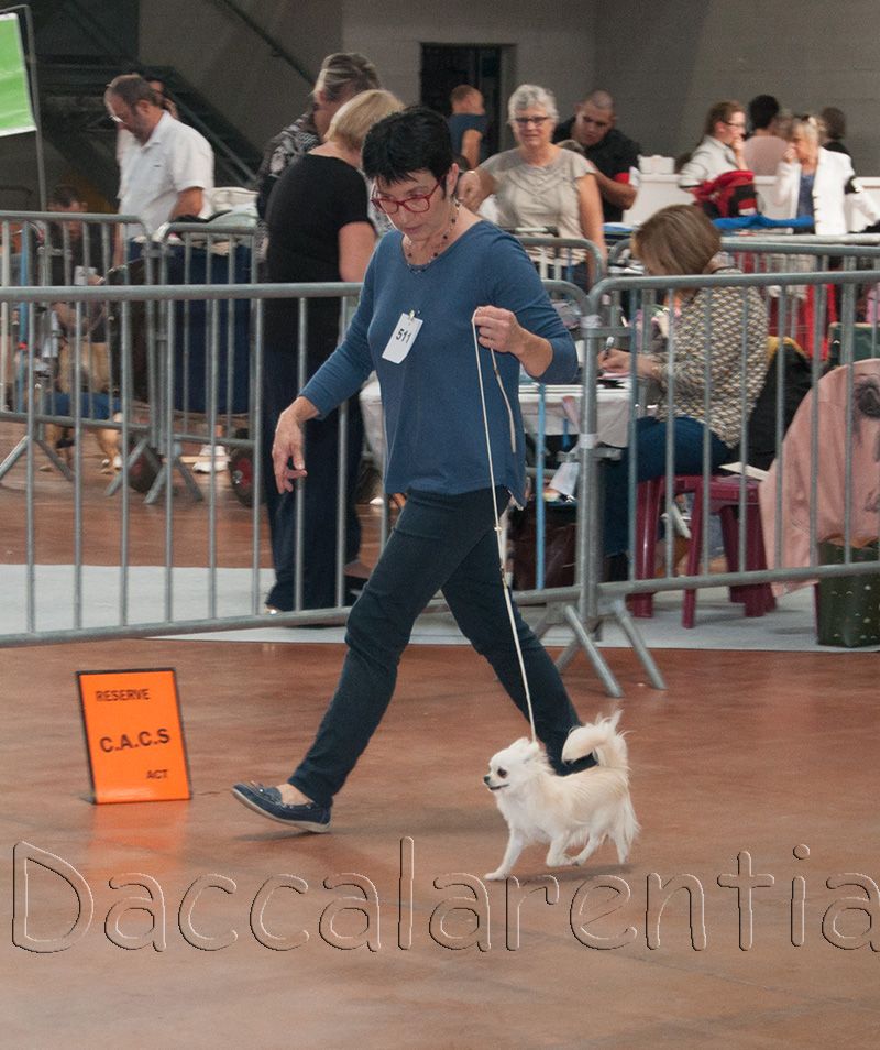 Mam'zelle d'Acca Larentia - 1ere excellente/3 , Meilleur Jeune, 2eme Meilleur jeune du 9eme groupe