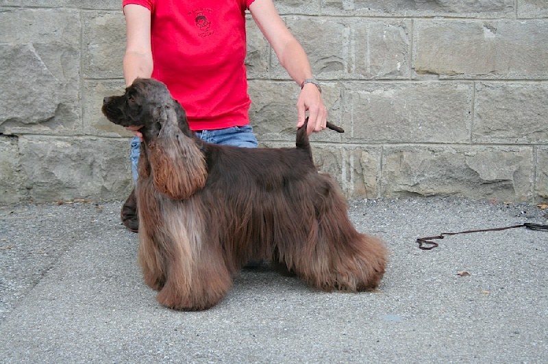 Publication : des Perles d'Onyx Auteur : Frédéric Genevey