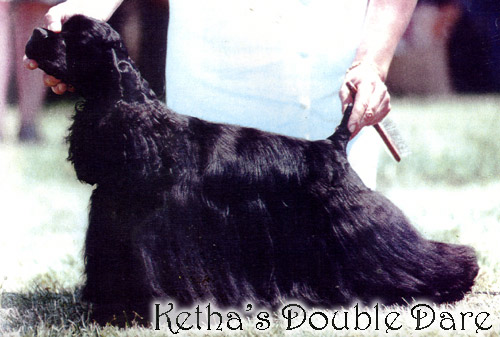 Publication : des jardins de Loane Auteur : Vigie Team