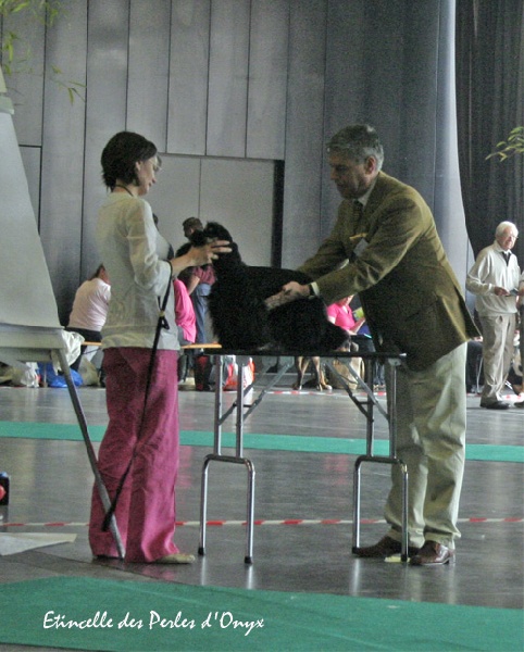 Etincelle des Perles d'Onyx - 1 Excellent CAC jeune