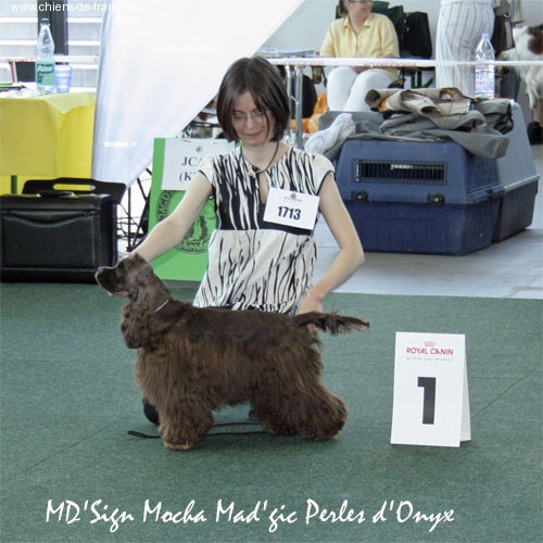 md'sign Mocha mad'gic perles d'onyx - 1 Excellent Jung VDH