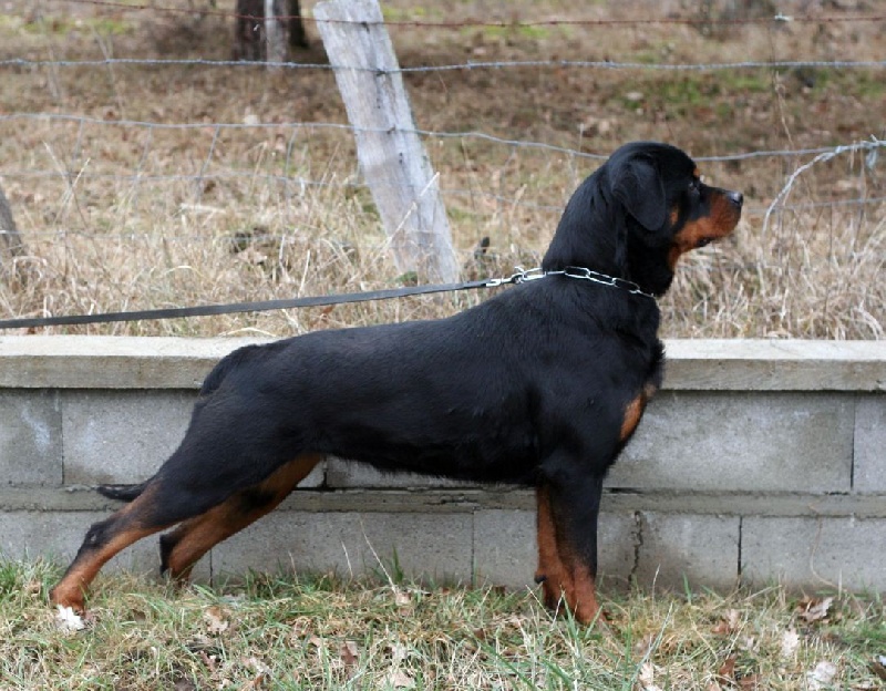 Publication : des Espoirs de Wallieux