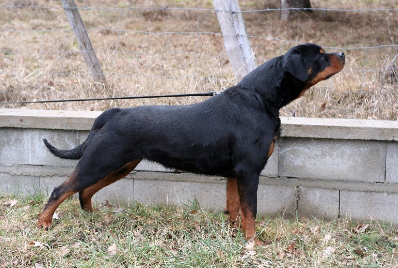 Publication : des Espoirs de Wallieux