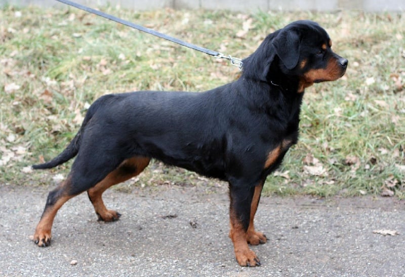 Publication : des Espoirs de Wallieux