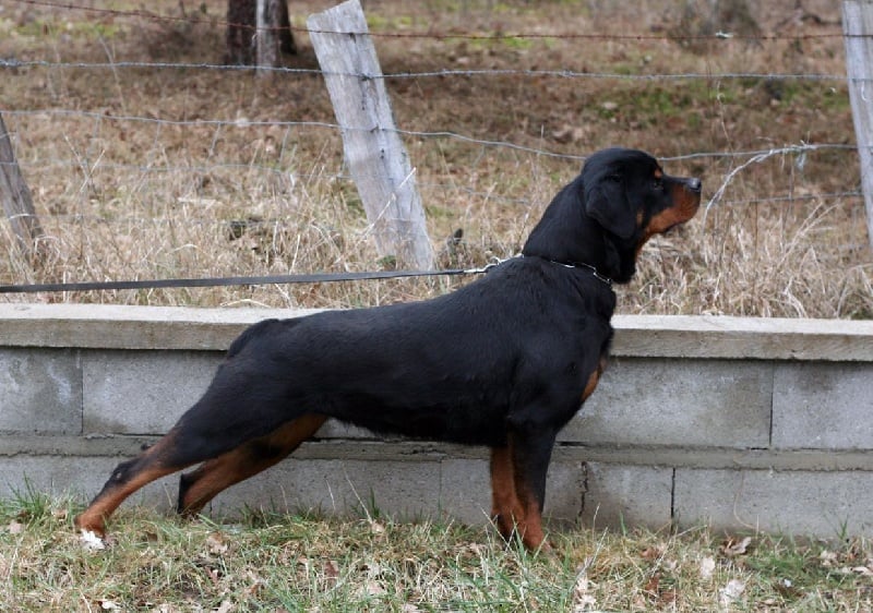 Publication : des Espoirs de Wallieux