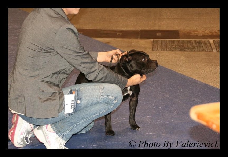 Galaxy quest dite lexie des Espoirs de Wallieux - Excellent