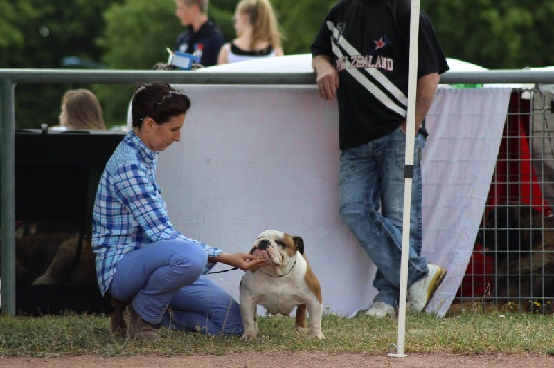 CH. Hakuna-mathata des Espoirs de Wallieux - 1ère Exc + CACS