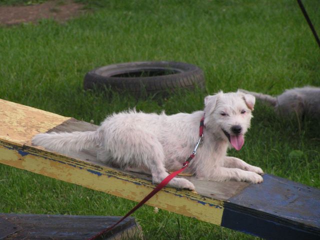 Publication : Semper Fi Auteur : Sabrina