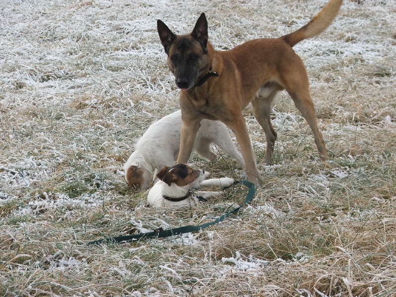 Olaf dit ondo des terres de mercy