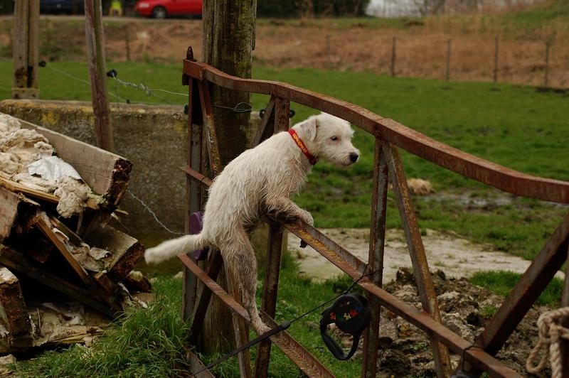 Publication : Semper Fi Auteur : Sabrina