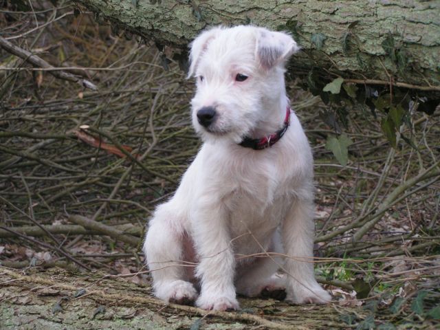 Publication : Semper Fi Auteur : Sabrina