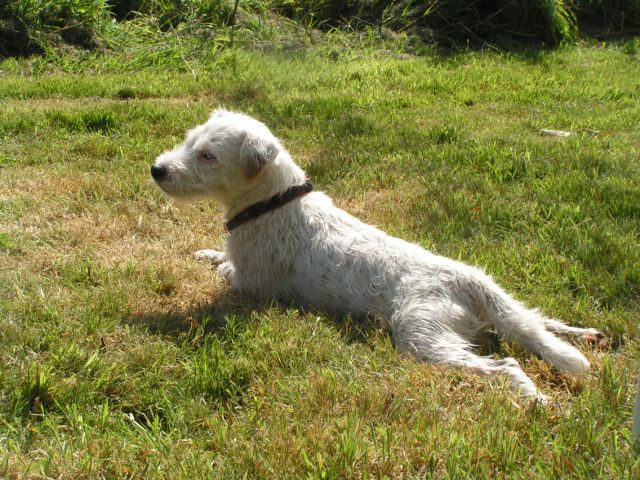 Publication : Semper Fi Auteur : Sabrina