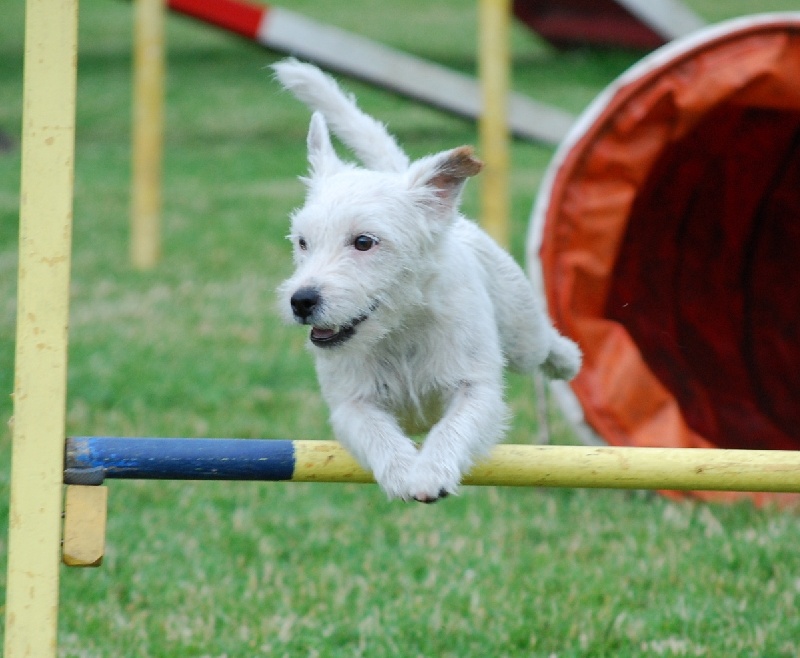 Publication : Semper Fi Auteur : Sabrina