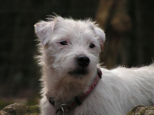 Publication : Semper Fi Auteur : Sabrina