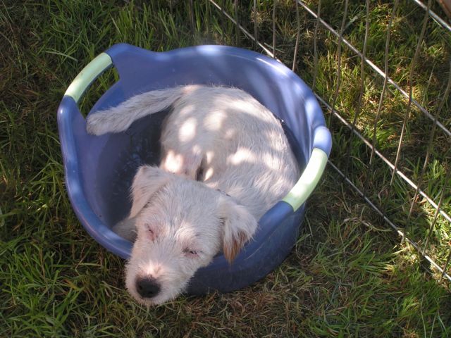 Publication : Semper Fi Auteur : Sabrina