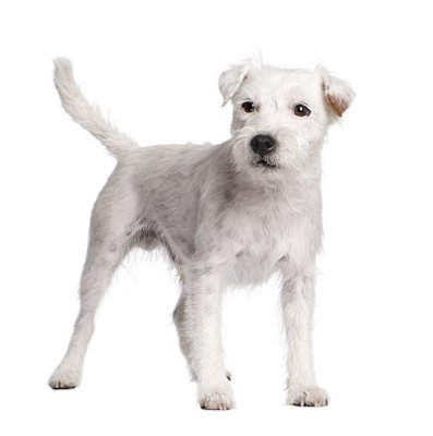 Publication : Semper Fi Auteur : Sabrina