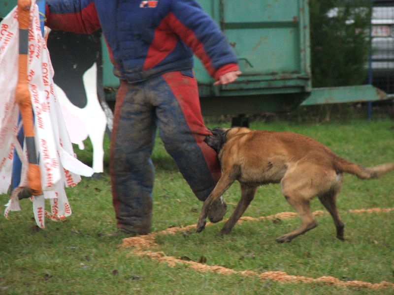 Olaf dit ondo des terres de mercy