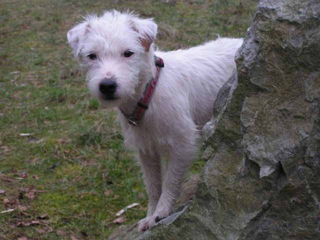 Publication : Semper Fi Auteur : Sabrina