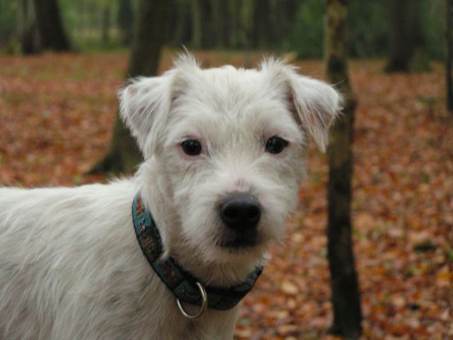 Publication : Semper Fi Auteur : Sabrina