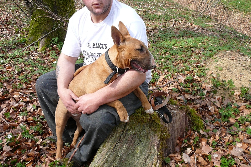 Publication : Rock'n'Roll Attitude Auteur : johane loncke