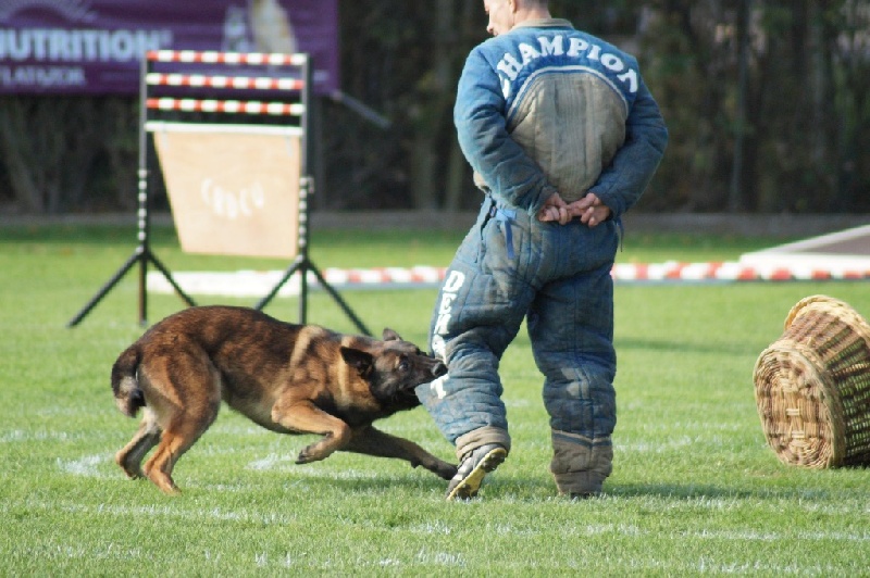 Publication : de la Roche de l'Empereur