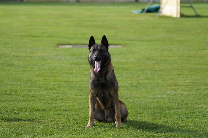 Publication : de la Roche de l'Empereur