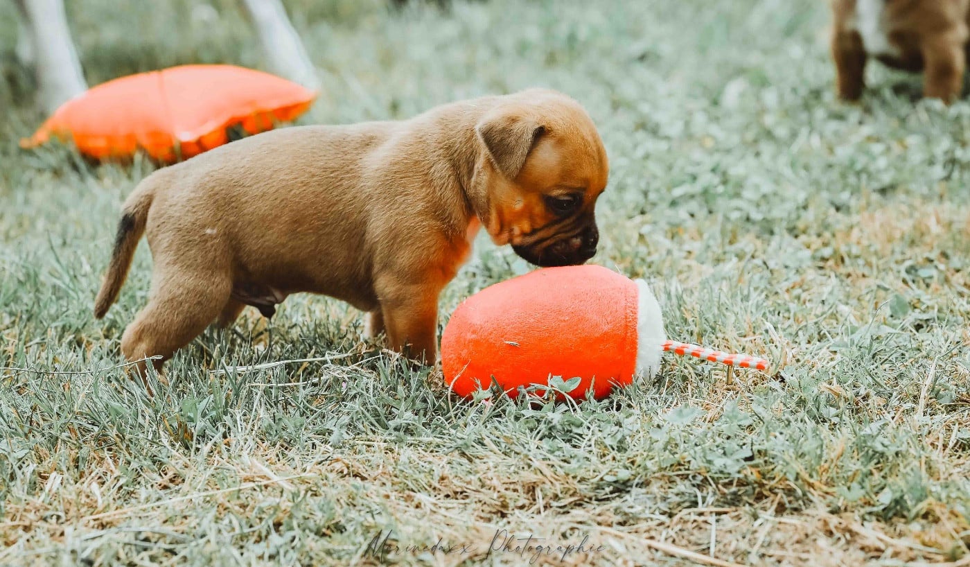 Male 2