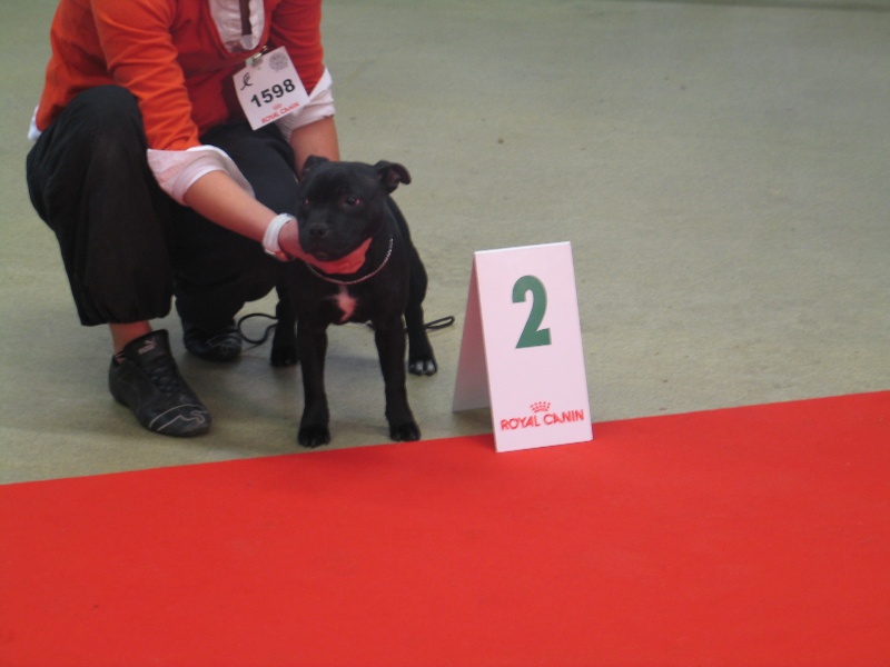 Every nice De la vauxoise - 2eme Tres prometteur/4