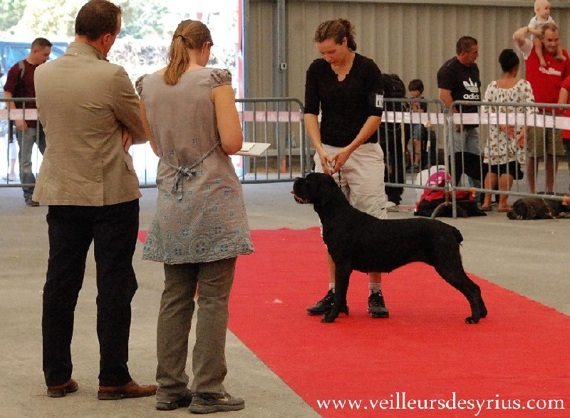 Publication : des veilleurs de Syrius Auteur : Laura Clavel