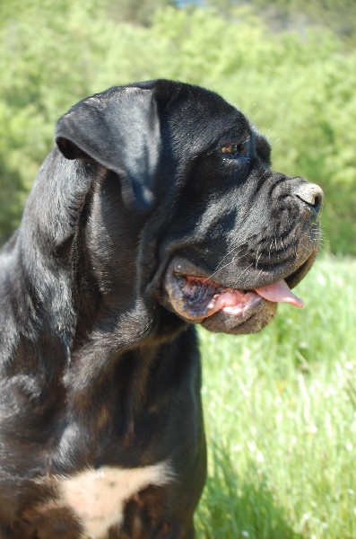 Publication : des veilleurs de Syrius Auteur : Laura Clavel