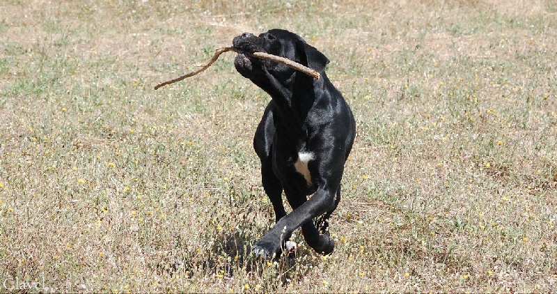 Publication : des veilleurs de Syrius Auteur : Laura Clavel