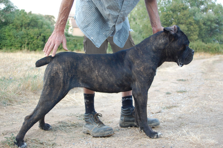 Publication : des veilleurs de Syrius Auteur : Laura Clavel