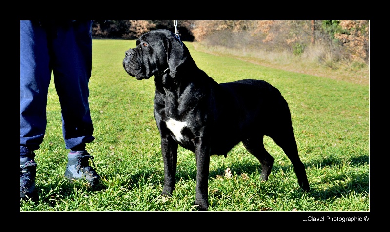 Publication : des veilleurs de Syrius Auteur : Laura Clavel
