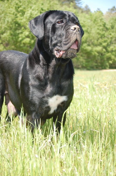 Publication : des veilleurs de Syrius Auteur : Laura Clavel