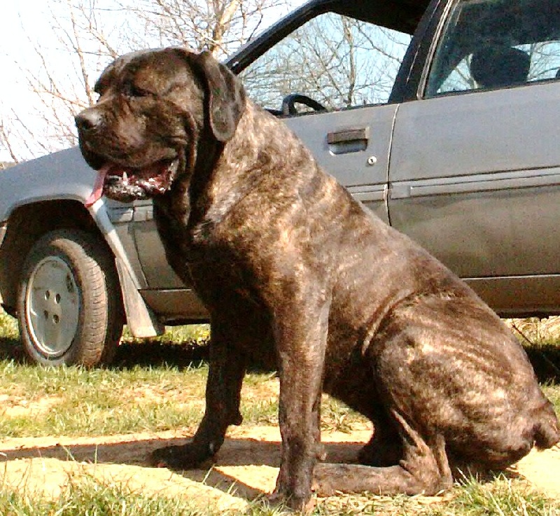 Publication : des veilleurs de Syrius