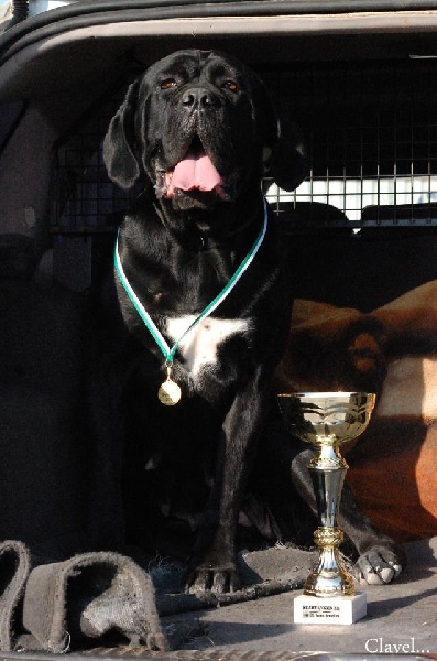 Publication : des veilleurs de Syrius Auteur : Laura Clavel