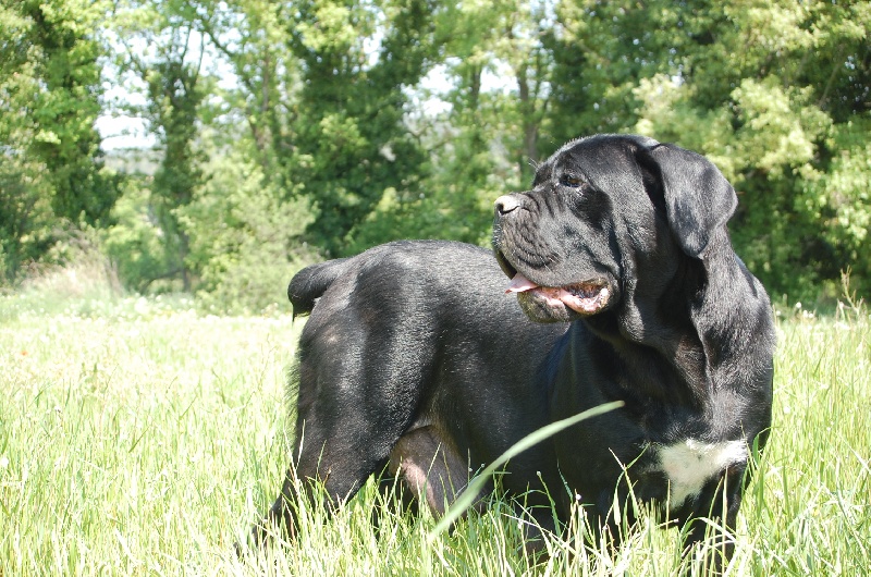 Publication : des veilleurs de Syrius Auteur : Laura Clavel