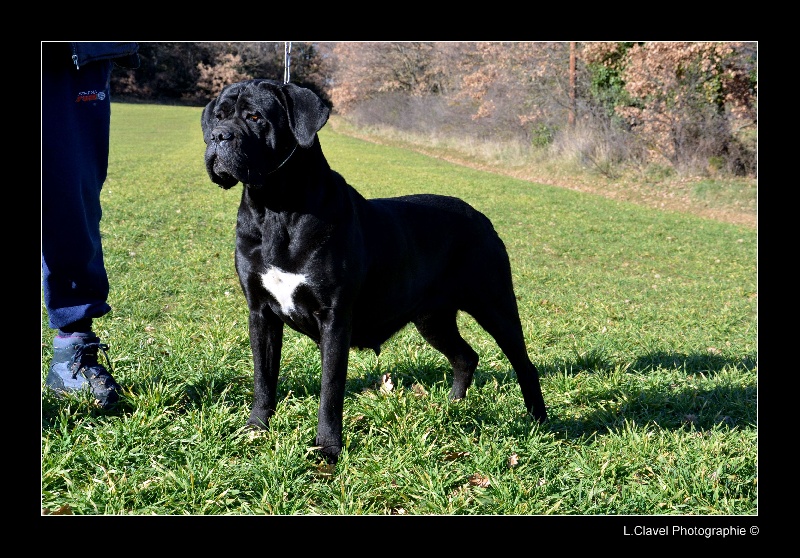 Publication : des veilleurs de Syrius Auteur : Laura Clavel