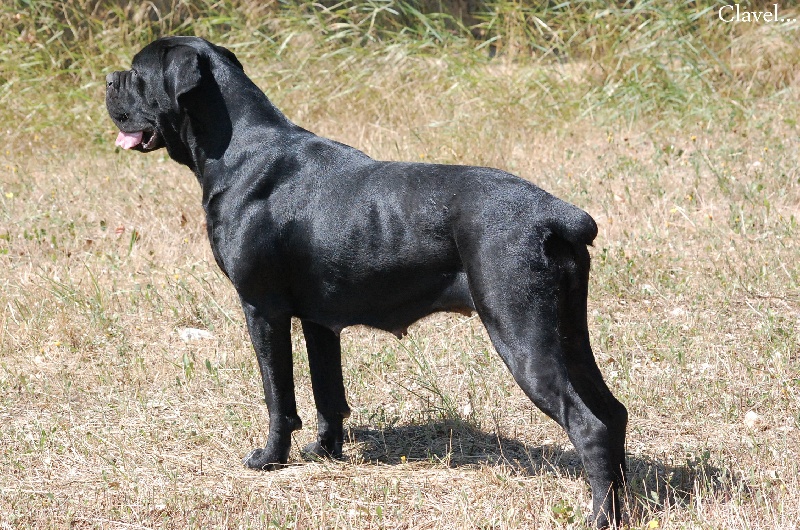 Publication : des veilleurs de Syrius Auteur : Laura Clavel