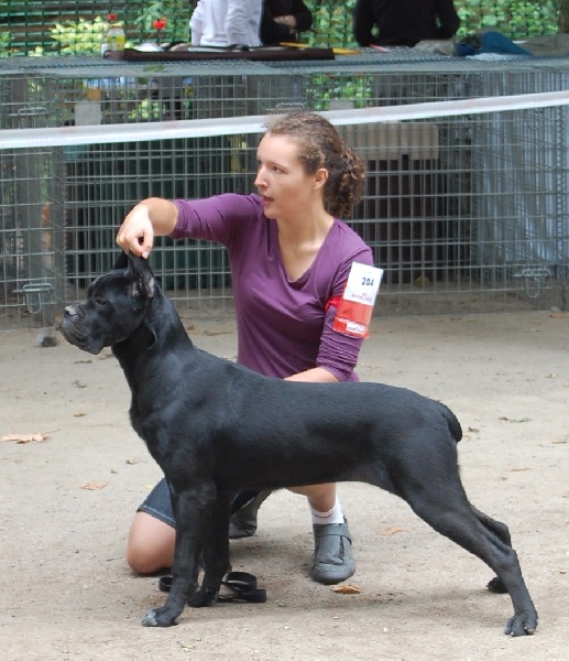 E'myrah des veilleurs de Syrius - Très Prometteur
