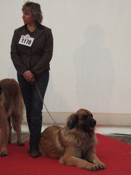 Publication : de la Terre des Lions du Berry