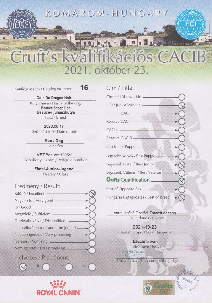 CH. Odin du Dragon Noir - Excellent 1, HPJ, BOB, Best Junior, Cruft's Qualification,