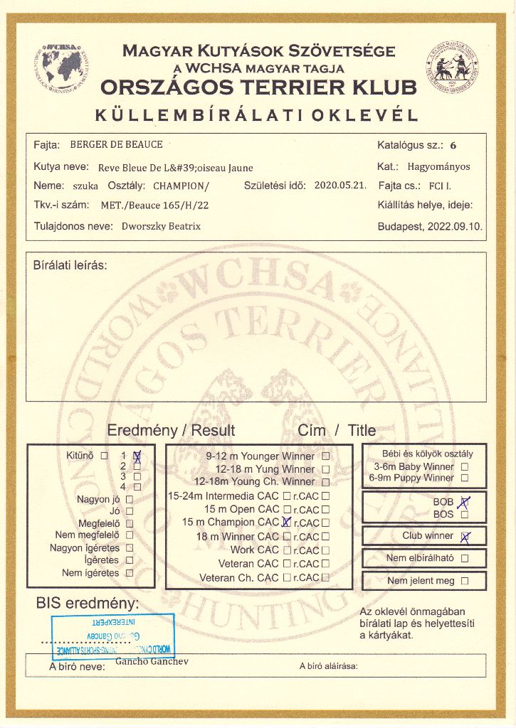 CH. Reve bleue des Bergers de l'Oiseau Jaune - Champion osztály: Excellent I, CAC, BOB, Clubwinner.