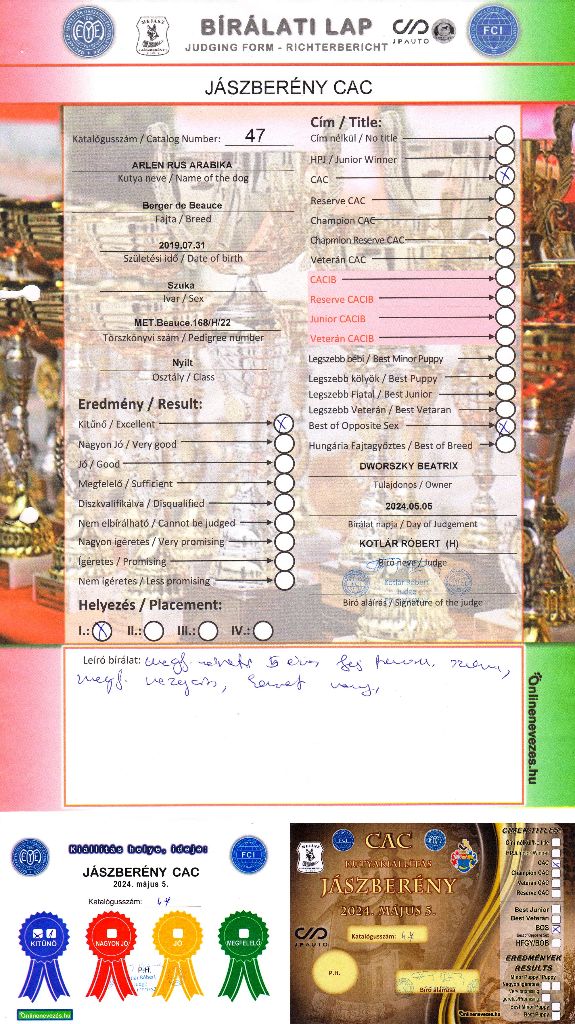 arlen rus Arabika - Nyílt osztály: Excellent 1, CAC, BOS.