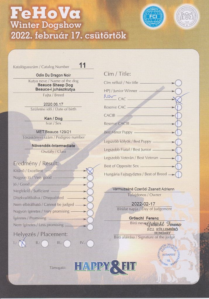 CH. Odin du Dragon Noir - Excellent 1, CAC,